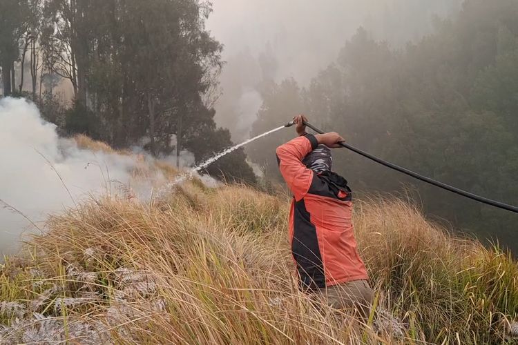 Karhutla Bromo Meluas, 10 Titik Api Masih Menyala di Blok Pengol