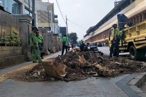 Penebangan Pohon di Cikini Bertentangan dengan Komitmen Pemprov DKI Turunkan Emisi Gas Rumah Kaca