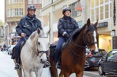 Anjing dan Kuda Dinas Pemerintahan Polandia Akan dapat "Uang Pensiun"
