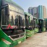 Daftar 21 Rute dan Warna Bus Shalawat untuk Jemaah Haji Indonesia di Makkah