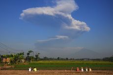 Obyek Wisata di Taman Nasional Gunung Merapi Ditutup Pasca-erupsi Freatik