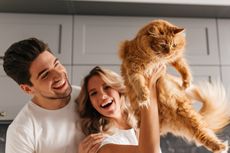 5 Tipe Pemilik Kucing, Kamu yang Mana?