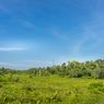 Perambahan Hutan di TNTN Riau, Ternyata Ada Kades yang Terbitkan 1.500 SKT di Kawasan Hutan Lindung