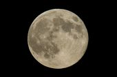 Fenomena 2 Supermoon Akan Terjadi di Awal dan Akhir Agustus 2023