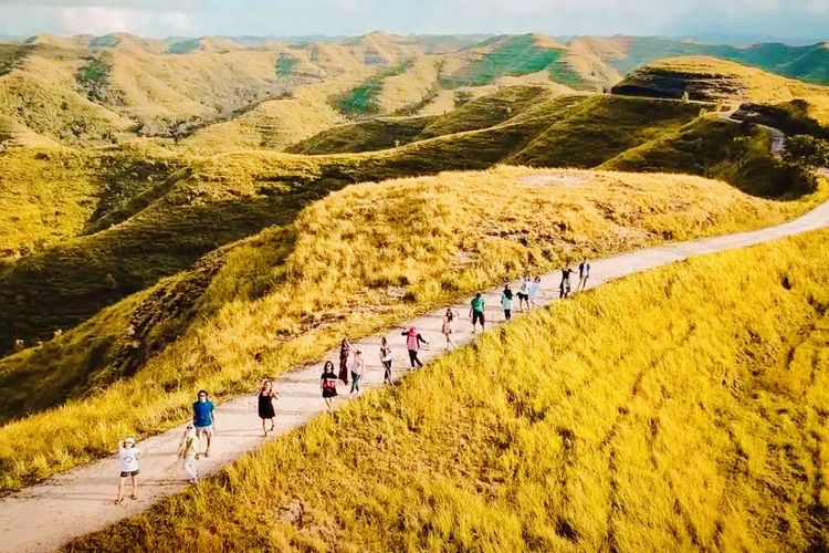 Pesona Savanna Tanarara Kesan Tak Berujung dengan Dikelilingi Hamparan Perbukitan Hijau