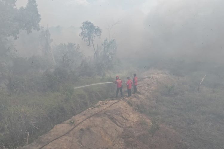 Dampak Karhutla, Udara 5 Daerah di Sumsel Tidak Sehat