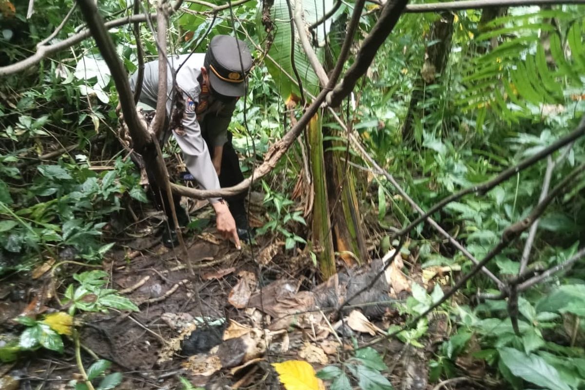 Identitas Tengkorak Manusia di Bantaran Sungai Purbalingga Terungkap