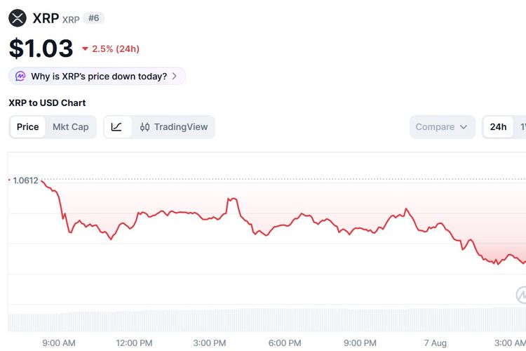 Harga XRP Hari Ini 7 Agustus 2026 Merosot Tajam