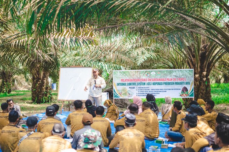 Petani Sawit Minta Pemerintah Buka Metode Klaim Kerugian Rp 600 Triliun Akibat Under Invoicing