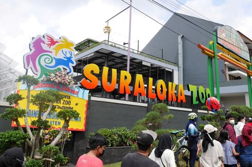 Harga Tiket Suraloka Zoo dan Panduan Cara Membelinya