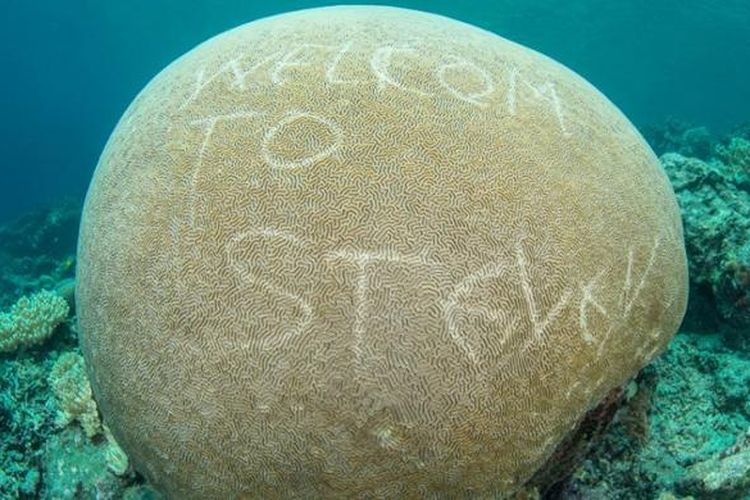 Beberapa foto yang beredar di media sosial menunjukkan vandalisme di koral Raja Ampat, Papua Barat.