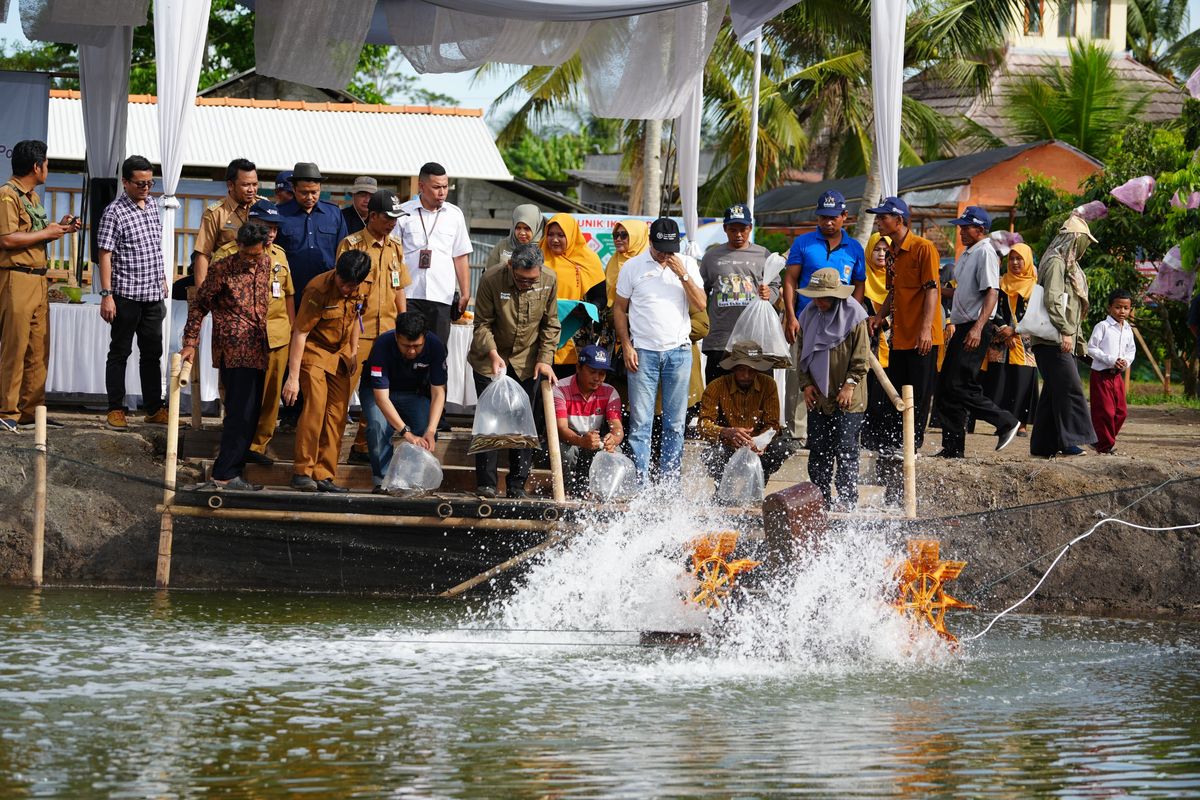 Kementerian Kelautan dan Perikanan (KP) bersama Food and Agriculture Organization (FAO) dan Pemerintah Provinsi (Pemprov) Jawa Tengah (Jateng) melepasliarkan 2,5 persen hasil budi daya sidat pada proyek IFish 'Mainstreaming Biodiversity Conservation and Sustainable Use into Inland Fisheries Practices in Freshwater Ecosystems of High Conservation Value'.
