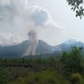 420 Hektare Hutan di Flores Timur Terdampak Erupsi Gunung Lewotobi