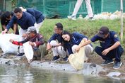 Perkuat Usaha Masyarakat Pesisir, Agrinas Jaladri Salurkan 19.500 Benih Ikan