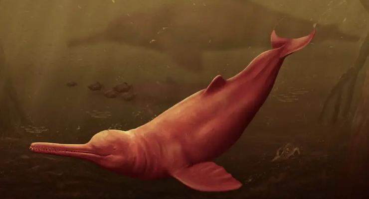 Seperti Apa Lumba-lumba Air Tawar Terbesar yang Pernah Hidup di Bumi?