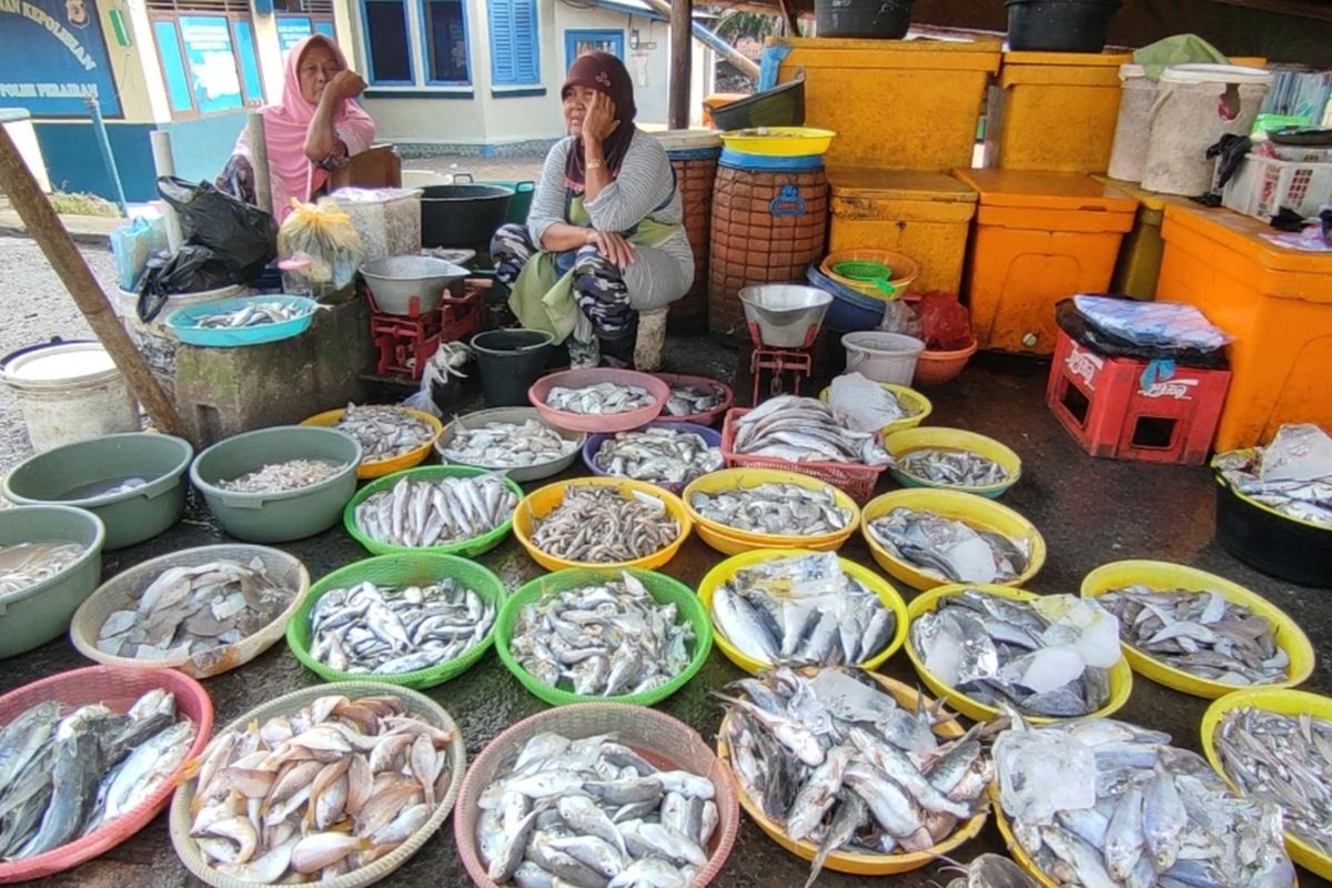 Salah satu pedagang menampilkan beberapa jenis ikan laut di Pasar Gebang, Kecamatan Gebang, Kabupaten Cirebon, Jawa Barat, Senin (13/6/2022). PT Perikanan Indonesia (Perindo) merasakan dampak domino kenaikan harga BBM yang membuat harga ikan naik.