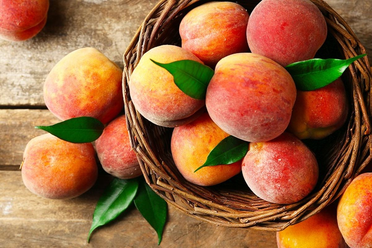 Ilustrasi buah persik atau peach.