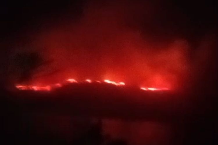 Hutan di Kawasan Gunung Botak di Jalan Trans Papua Barat Terbakar