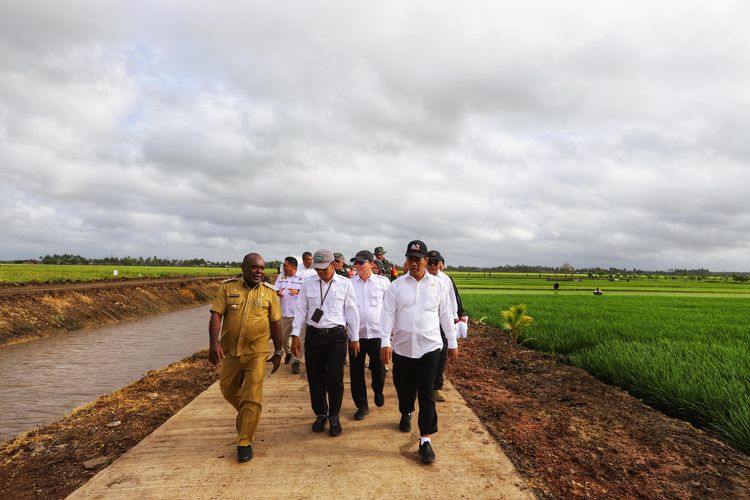 Mentan Andi Amran Sulaiman saat hadir di kunjungan kerja Presiden Jokowi di Distrik Kurik, Kabupaten Merauke.