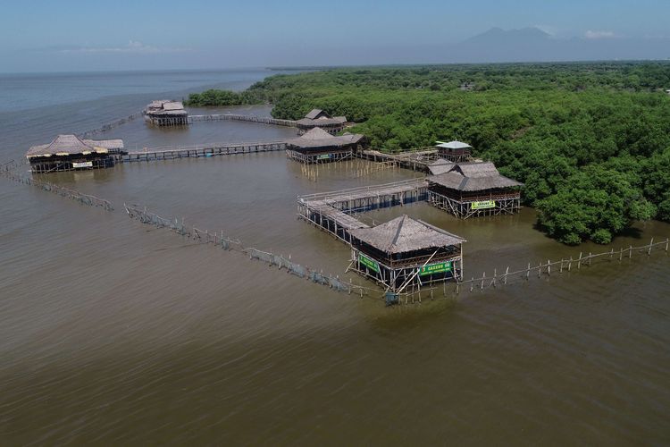 Wisata mangrove Wonorejo, Surabaya, Jawa Timur, Sabtu (25/5/2019).