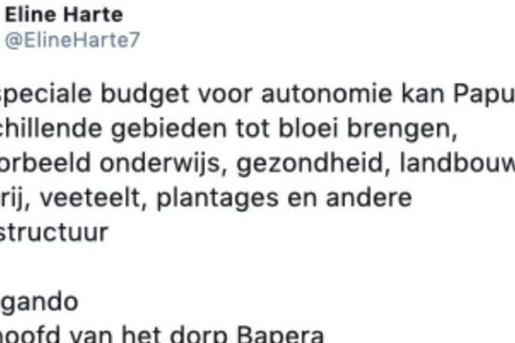 Inilah salah satu akun Twitter berbahasa Belanda yang mendukung adanya otonomi khusus (otsus) terhaap Papua. Setelah diselidiki, akun tersebut ternyata palsu.