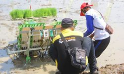 Mentan Berharap Bantuan Alsintan Bisa Tingkatkan Produktivitas dan Pendapatan Petani