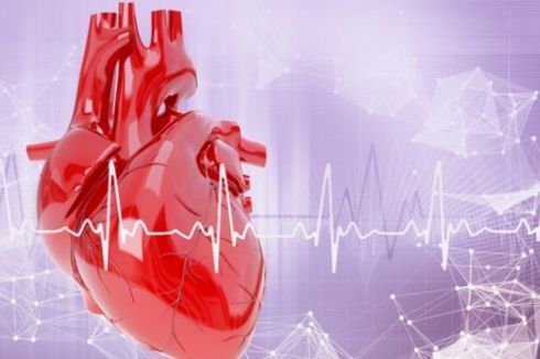 7 Langkah Penting Menjaga Kesehatan Jantung