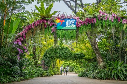 Bird Paradise, Taman Burung di Singapura yang Akan Buka Mulai 8 Mei 2023
