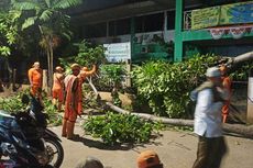 230 Personel Damkar di Jakbar Siaga 24 Jam untuk Tangani Pohon Tumbang