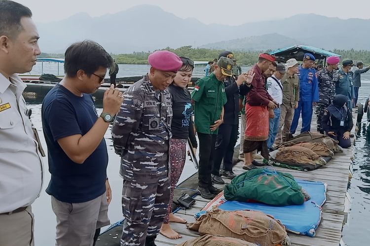 Penyu sitaan selundupan dilepas di Perairan Banyuwedang, Kecamatan Gerokgak, Kabupaten Buleleng, Provinsi Bali, pada Kamis (19/1/2023).