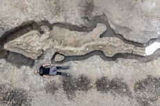 Fosil Naga Laut Ditemukan di Dasar Waduk di Inggris, Apa Itu?