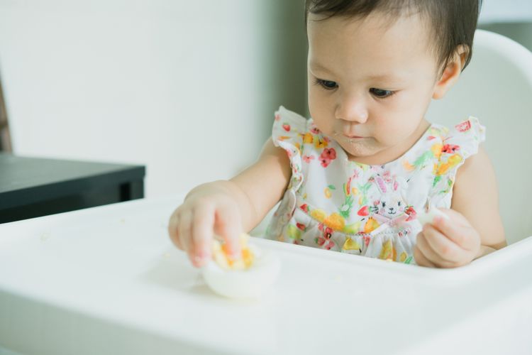 Seorang bayi mengonsumsi telur rebus untuk MPASI.
