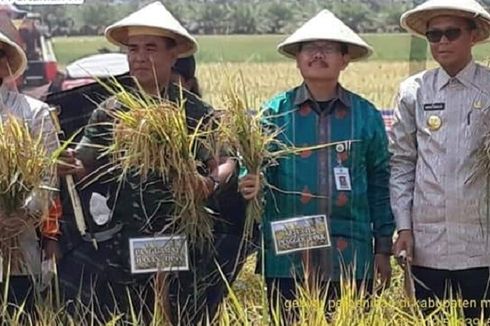 Dorong Produktivitas Komoditas Pangan, Kementan Tingkatkan Mutu Benih