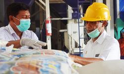 Kepala BKP Yakin PT Pertani:Mampu Serap 300.000 Ton Gabah Petani