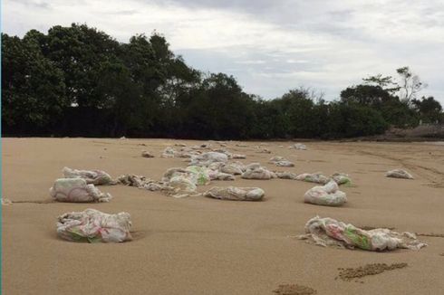 Sampah Popok Bayi Berserakan di Pantai Badur Sumenep, Ini Penjelasan Dinas Lingkungan Hidup