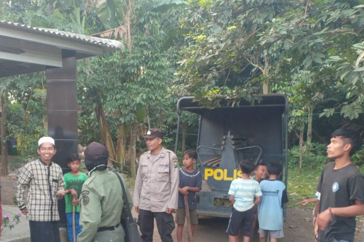 Tiga warga Jember mengalami luka parah karena diserang monyet liar 
