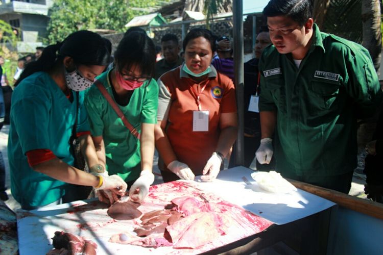 Dokter hewan dari Universitas Nusa Cendana (Undana) Kupang, sedang memeriksa kondisi daging yang akan dikonsumsi warga dalam perayaan Idul Adha di Masjid Al Ikhlas Bonipoi, Kota Kupang, Jumat (1/9/2017)