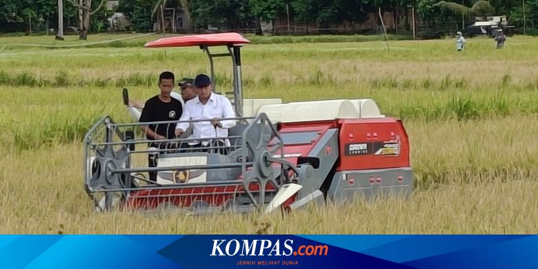 Wamentan Sudaryono Desak Bulog Beli Gabah Rp 6.500 Per Kilogram, Lawan Mafia Harga