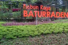 Kebun Raya Baturraden Purwokerto: Jam Buka, Tiket Masuk, dan Aktivitas
