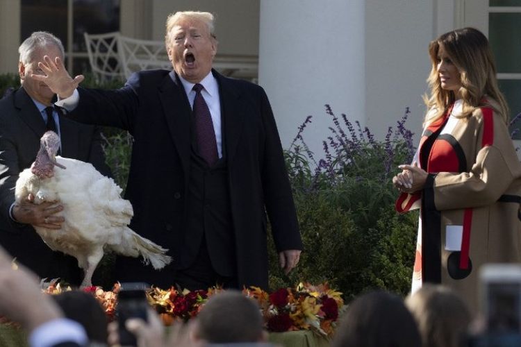 Presiden Amerika Serikat Donald Trump mengampuni kalkun bernama Peas dalam upacara tahunan jelang Thanksgiving di Gedung Putih di Washington DC, Selasa (20/11/2018). (AFP/Jim Watson)