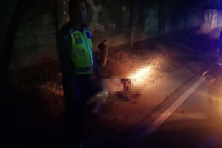 Pengendara sepeda motor Zupiter warna biru seketika saja meninggal dunia setelah mengalami laka tunggal menabrak tunggul pohon di Jalan Ahmad Yani Km 6 Tanjungpinang, tepatnya di depan Markas Komando Distrik Militer (Makodim) 0315 Bintan dini hari.