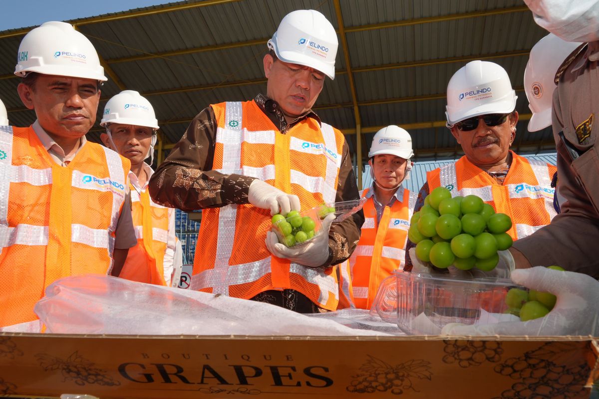 Pastikan Keamanan Anggur Muscat, Pemprov Jateng Uji Residu 38 Spesimen