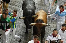 6 Orang Luka-luka dalam Festival San Fermin, Lari Dikejar Banteng, di Spanyol