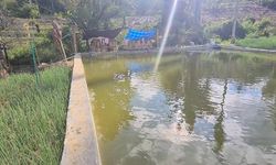 Kementan Realisasikan Embung untuk Tingkatkan Produktivitas Petani Bawang Merah di Enrekang