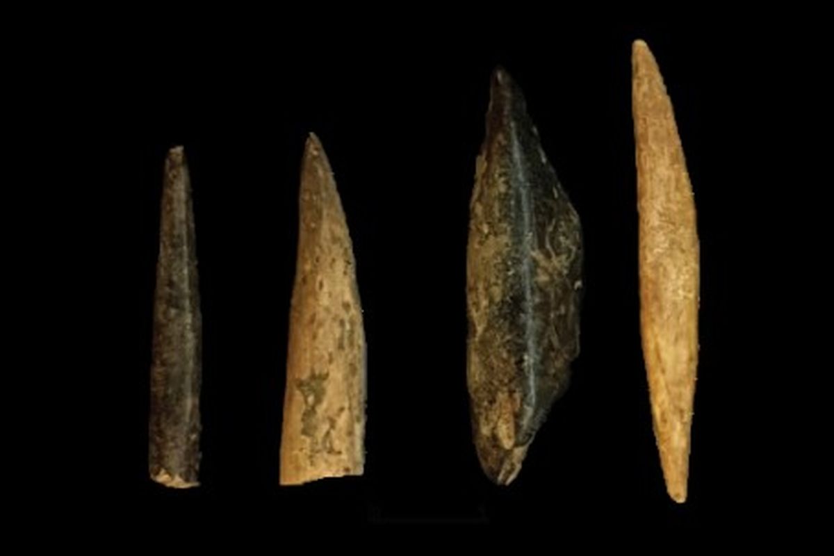 Artefak lancipan tulang yang ditemukan di situs Leang Jarie di kawasan situs purba Maros, Sulawesi Selatan. Situs ini mengungkapkan kehidupan manusia purba dan makanan yang dikonsumsi di masa 8000-550 BP.