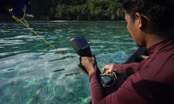 Perusahaan Tambang Nikel Ini Rehabilitasi 743 Hektare Hutan di Konawe