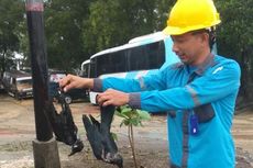 Listrik di Karimun Sering Padam, Salah Satu Penyebabnya Ular Masuk ke Trafo