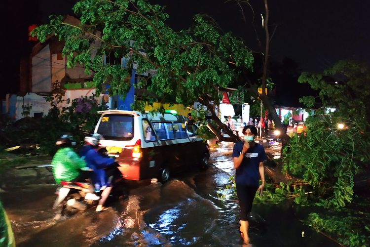 Pohon tumbang di pertigaan Simpang Tugu Jam antara Jalan Margonda Raya, Jalan Kartini, dan Jalan Siliwangi, akibat Hujan lebat dan angin kencang pada Selasa (21/9/2021) sore menyebabkan arus lalu lintas di 3 ruas jalan itu nyaris lumpuh.