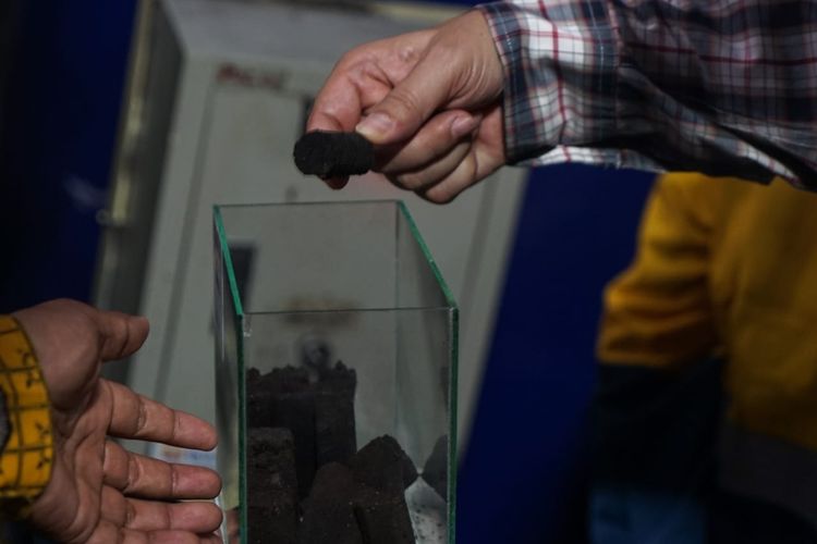 Kalium humat produksi PTBA siap dukung kesuburan tanah dan ketahanan pangan.