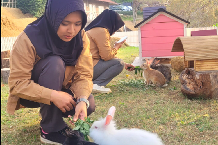 Aktivitas memberi makan hewan di Dusun Giok, Bogor